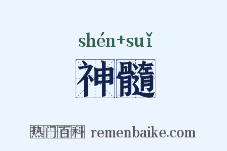 神髓是什么意思的图片